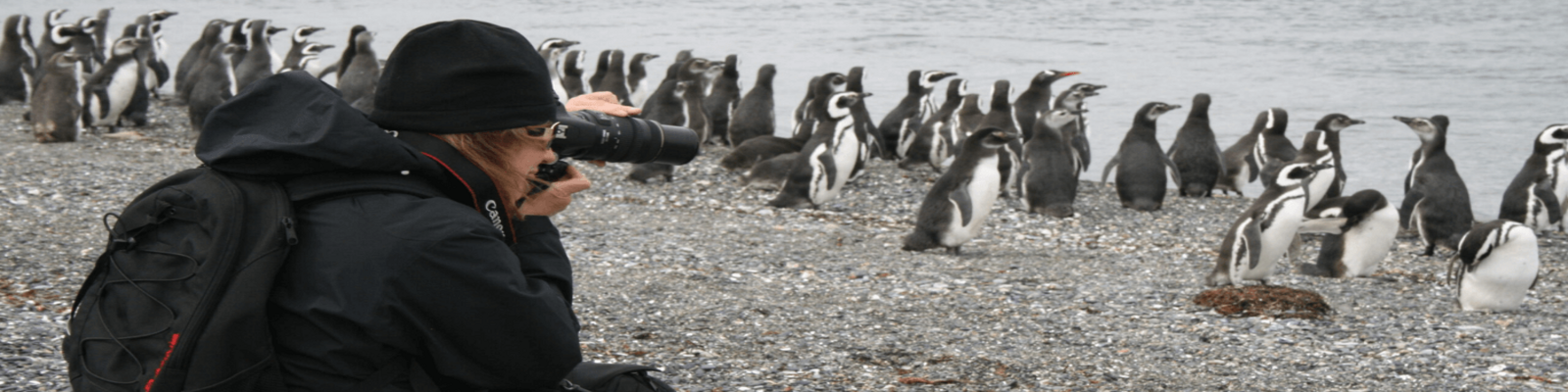 Caminata en Pinguinera